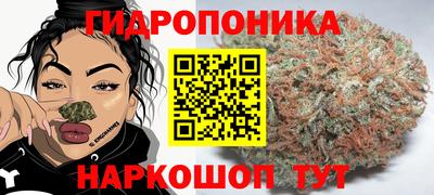 ALPHA PVP Шелехов