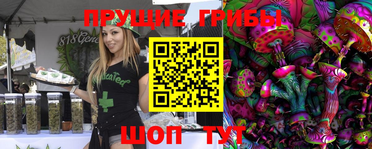 Псилоцибиновые грибы Cubensis Алушта