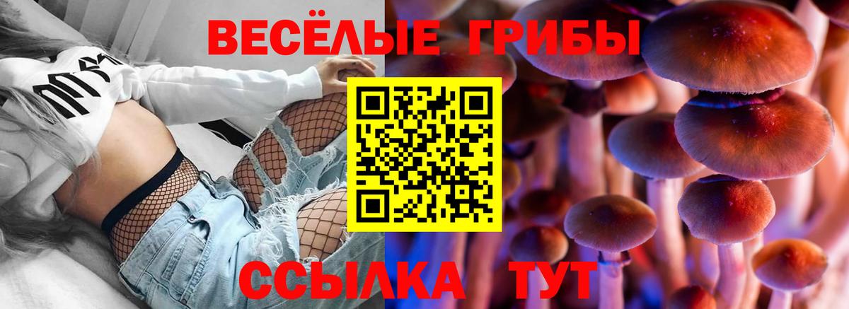Галлюциногенные грибы мицелий  Вход с VPN  где купить наркоту  Алушта 